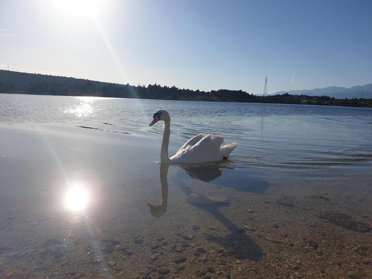 Apartmani Rudi Anić Buitenkant foto