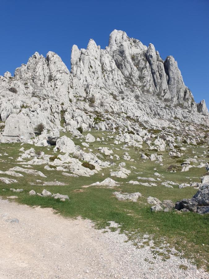 Apartmani Rudi Anić Buitenkant foto