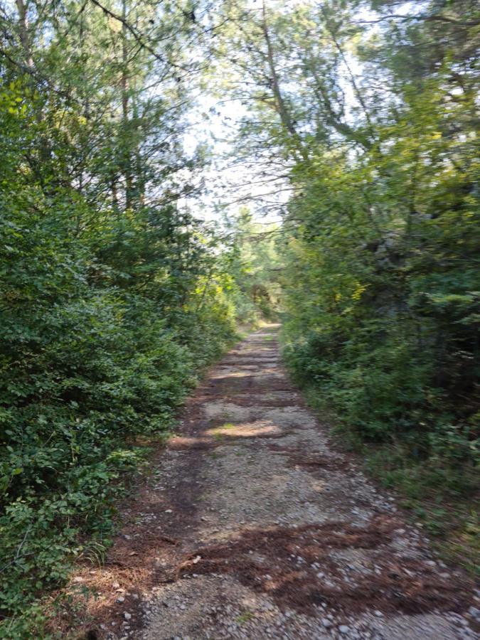 Apartmani Rudi Anić Buitenkant foto