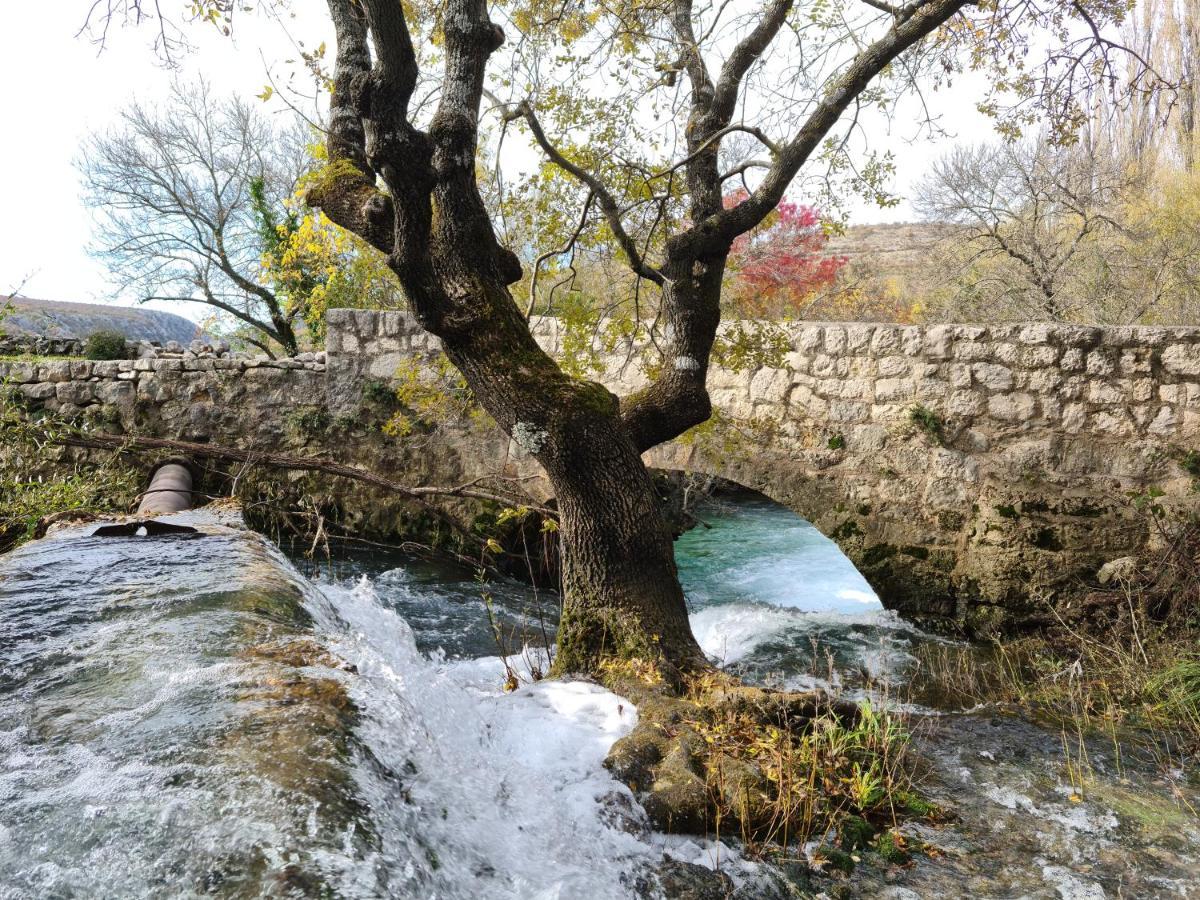 Apartmani Rudi Anić Buitenkant foto