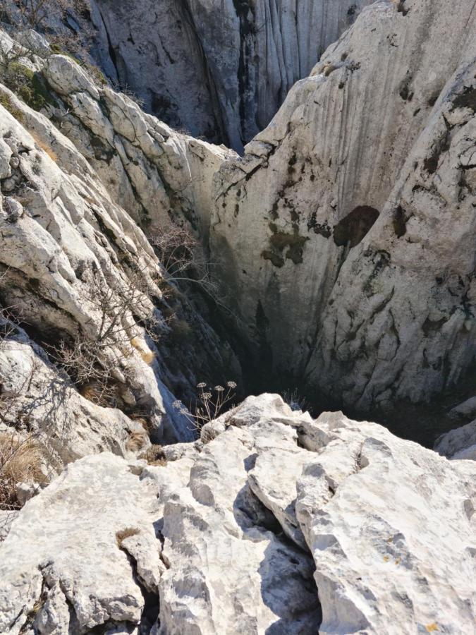 Apartmani Rudi Anić Buitenkant foto